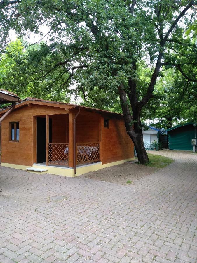 Camping Luni มารีนา ดิ มาซซา ภายนอก รูปภาพ